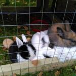 IMG_20210925_124823