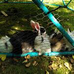 IMG_20210926_134442