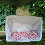 IMG_20210926_141640