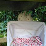 IMG_20210926_141647