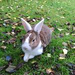 IMG_20211002_093414