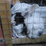 IMG_20211002_110350