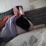 IMG_20211008_210555