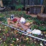 IMG_20211009_085401