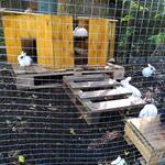 IMG_20211010_103858