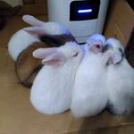IMG_20211015_202721