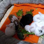 IMG_20211019_193420