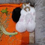 IMG_20211019_200637