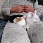 IMG_20211027_194425