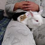 IMG_20211027_194436