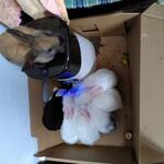 IMG_20211029_090757