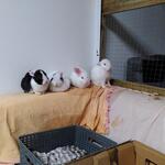 IMG_20211029_212055