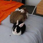 IMG_20211106_124929