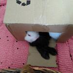 IMG_20211110_121208