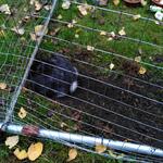 IMG_20211120_152812