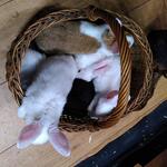 IMG_20211126_072828