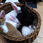 IMG_20211126_072841