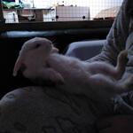 IMG_20211126_213824