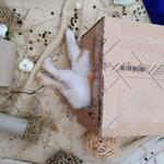 IMG_20211130_130727