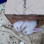 IMG_20211130_131829