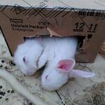 IMG_20211130_131908
