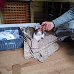 IMG_20211204_141343