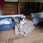 IMG_20211204_141347