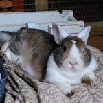 IMG_20211204_141353