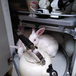 IMG_20211211_131819
