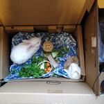 IMG_20211214_135321