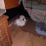 IMG_20211216_195436