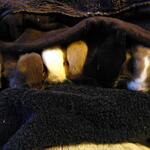IMG_20211225_141354