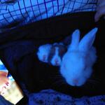 IMG_20211226_084453