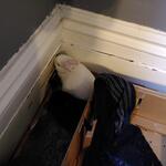 IMG_20220102_140805