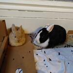 IMG_20220102_140811