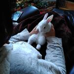 IMG_20220103_151043
