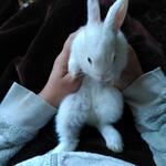 IMG_20220103_151050