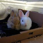 IMG_20220106_153615