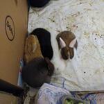 IMG_20220107_200338
