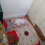 IMG_20220110_063313