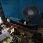 IMG_20220110_201646