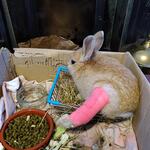 IMG_20220124_112054