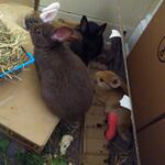 IMG_20220127_071019