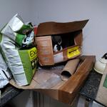 IMG_20220201_072405
