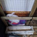 IMG_20220201_203536