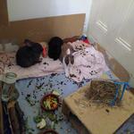 IMG_20220202_064325