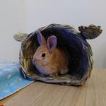 IMG_20220205_011627