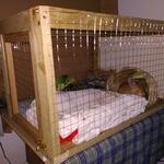 IMG_20220208_082132