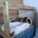 IMG_20220208_082147