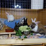 IMG_20220208_184245